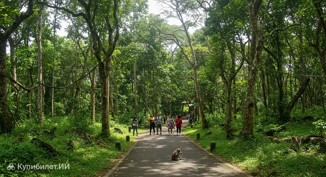 Парк Лес Обезьян