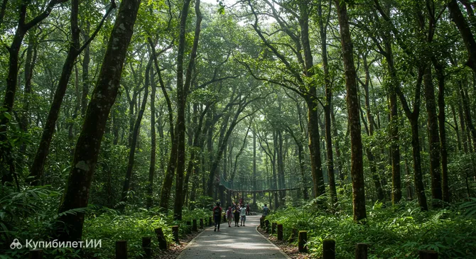 Лесопарк имени Ир. Х. Джуанды