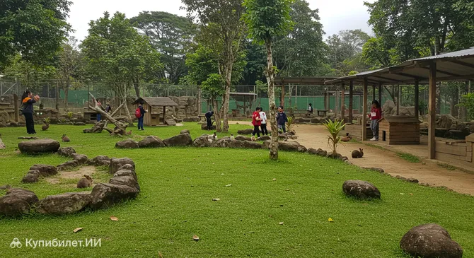 Парк кроликов