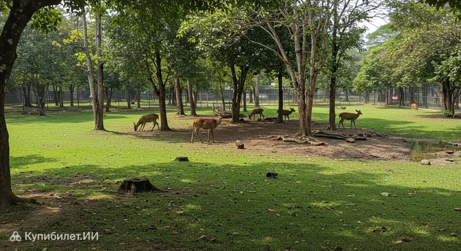 Загон для оленей при Университете Северной Суматры