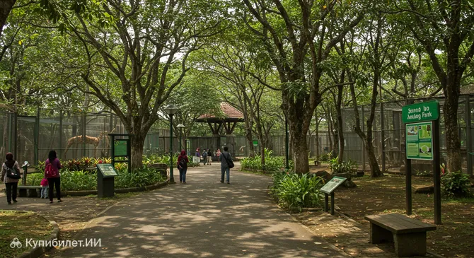 Парк Джуруг