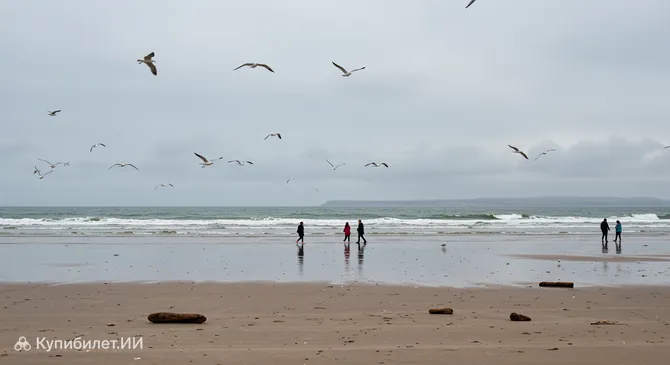 Пляж Бурроу