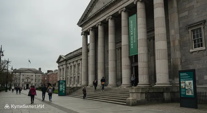 Национальный музей Ирландии — Археология