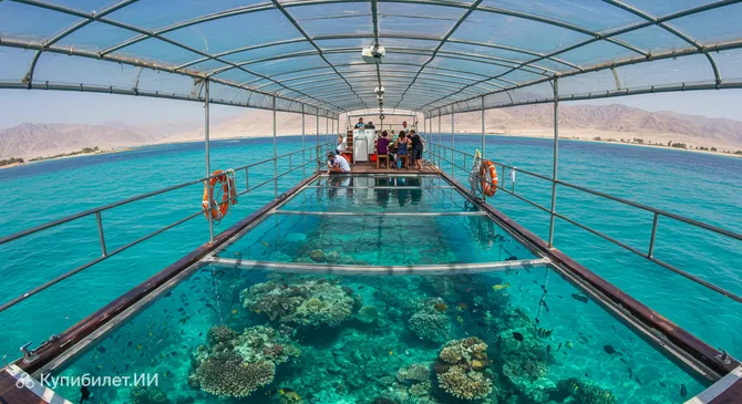 Прогулка на лодке с прозрачным дном