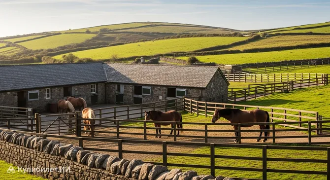 Дом отдыха для старых лошадей