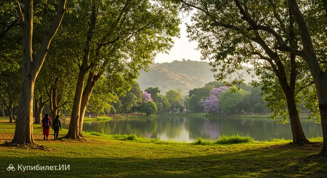 Заповедный лес озера