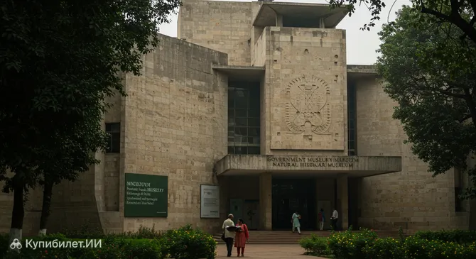 Музей естественной истории