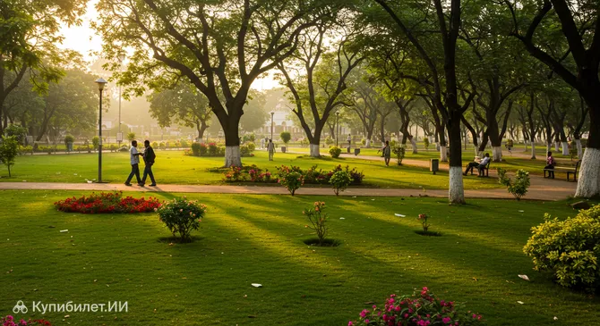 Парк Рейс-Курс