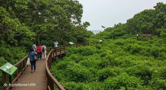 Птичий заповедник Фудам