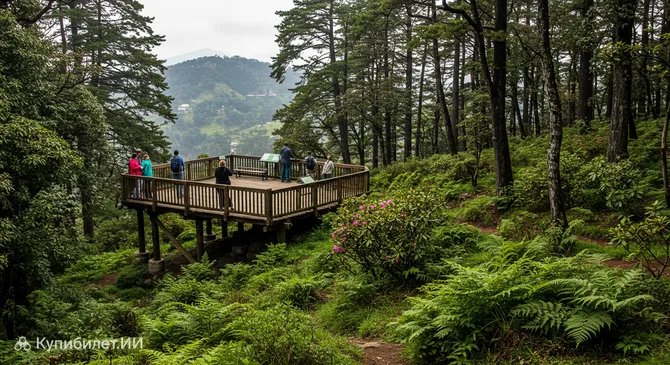 Заповедник Шимла Вотер Кэтчмент