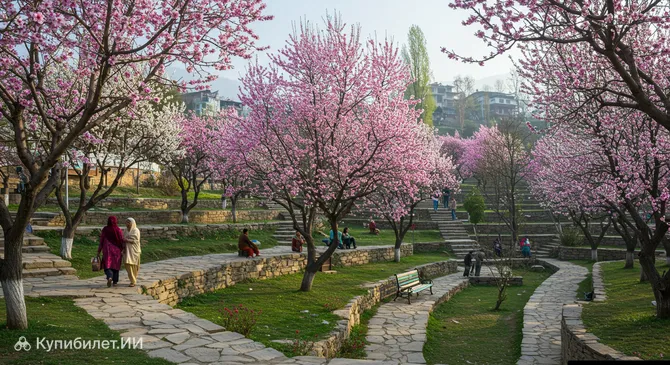 Парк Бадамвари