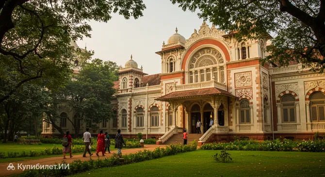 Музей Напьера