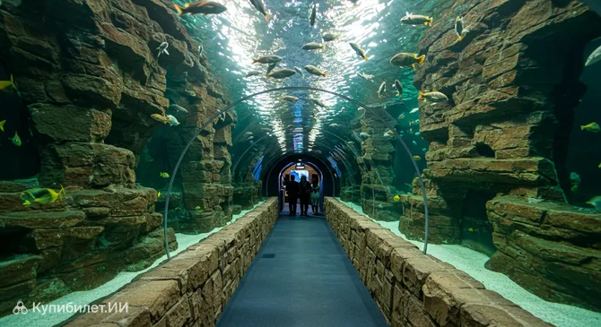 Аквариум Исфахана