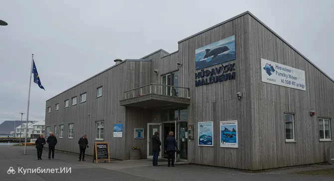 Музей китов в Хусавике