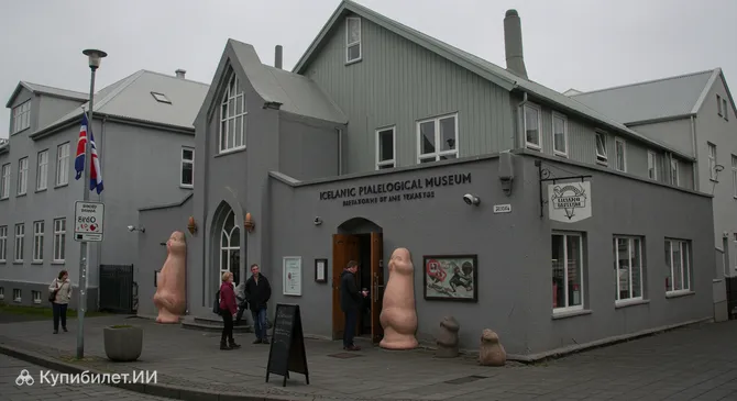 Исландский фаллологический музей