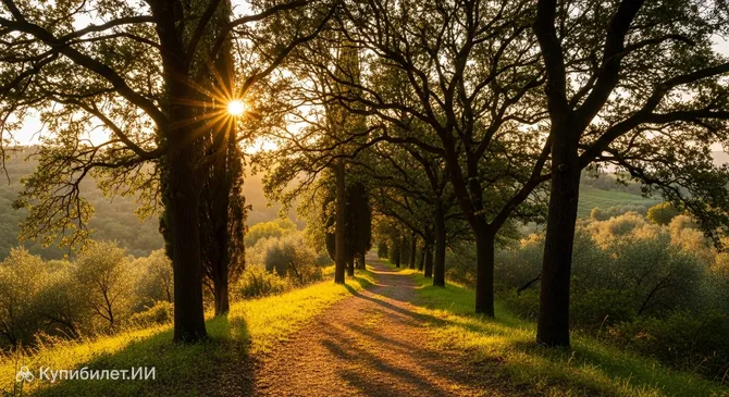 Боско-дель-Турлаччо