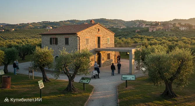 Музей оливы Карло Карли