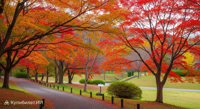 Парк Кагураока