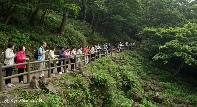 Парк обезьян Такасакияма