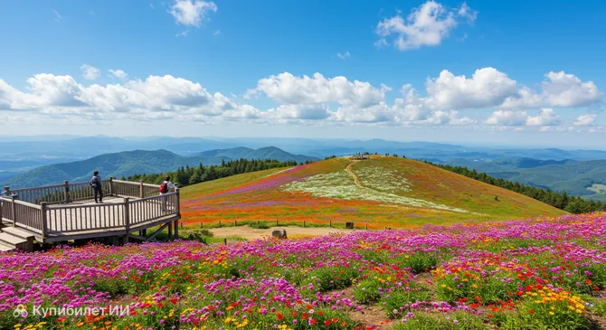 Обзорный парк на холме Синэй