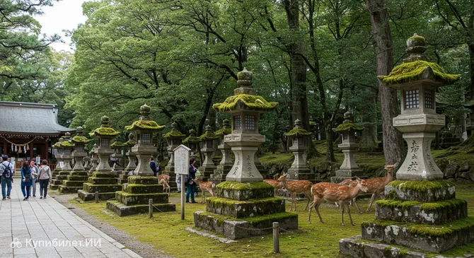 Парк Касуга