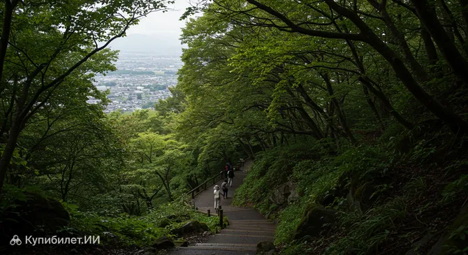 Историко-природный парк Тэмпайдзан