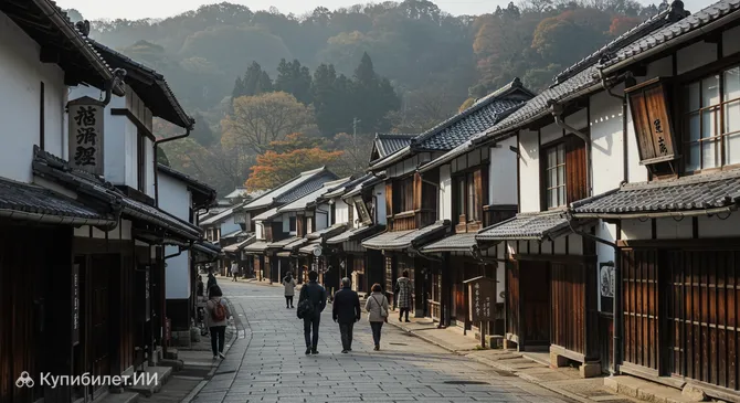 Замковый город Хаги