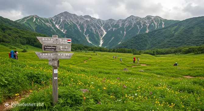 Куробисидайра