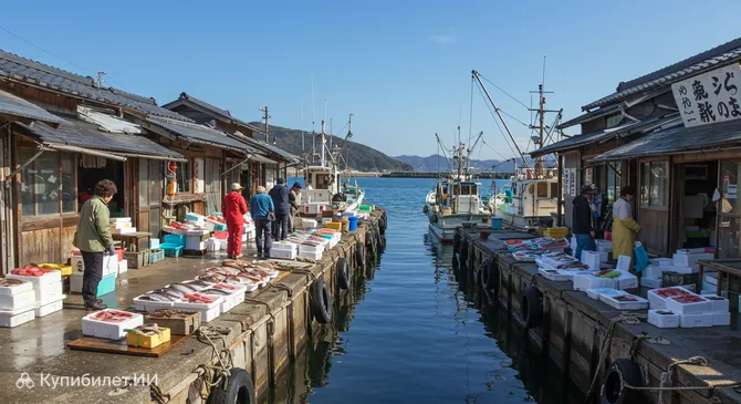 Рыбный порт Мисаки