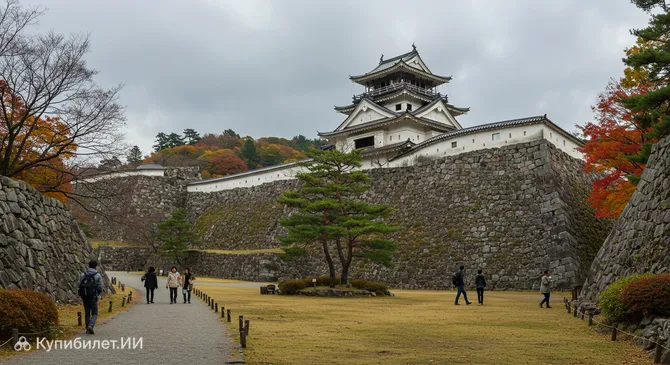 Парк руин замка Уэда