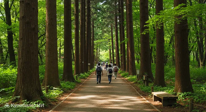 Лесной парк Кабутояма