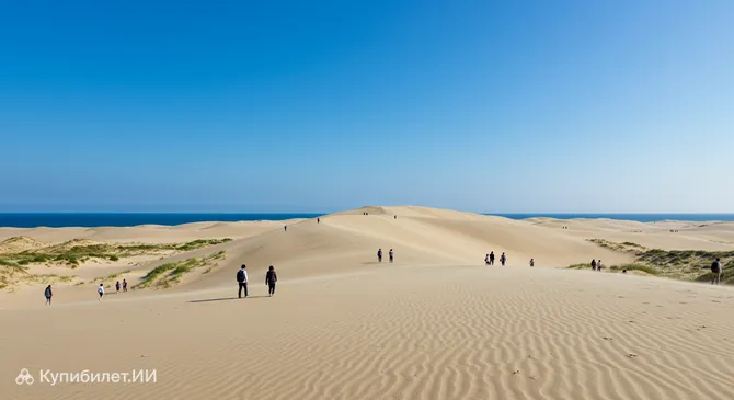 Песчаные дюны Хамаока