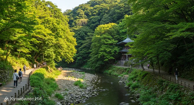 Парк ущелья Тодороки