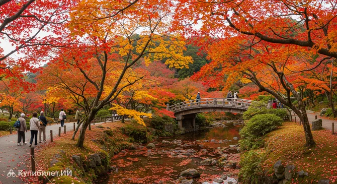 Парк Момидзи