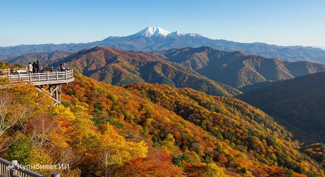 Панорамный парк Юзава Коген