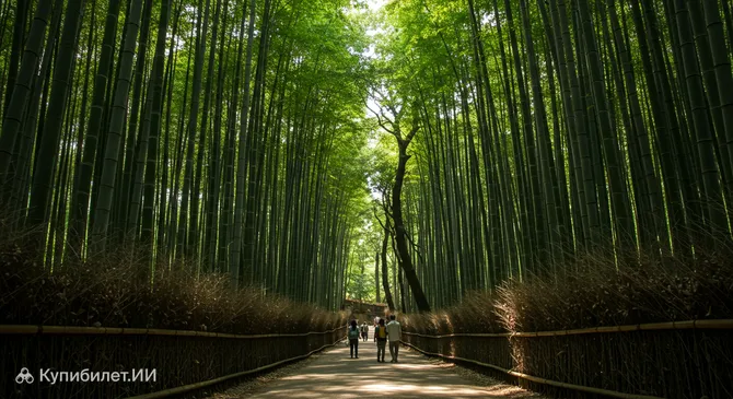 Бамбуковая роща Хококудзи