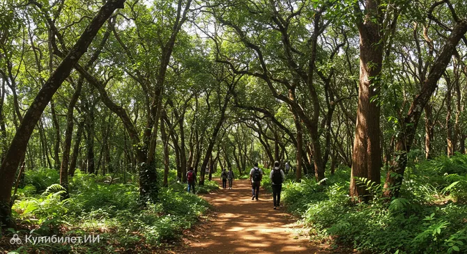 Лес Карура (сектор Сигирия)