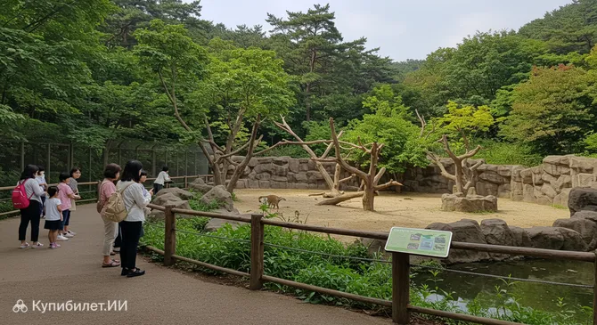 Самджун Парк