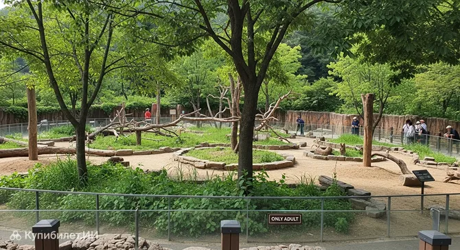 Деревня животных