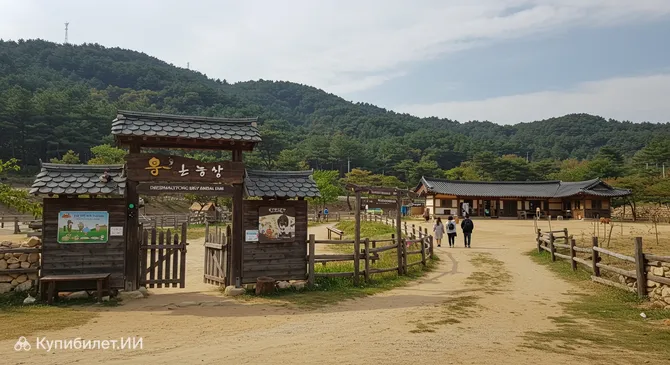 Ферма детёнышей животных Тэгваллён