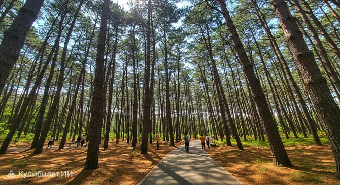 Городской парк Сондо Сольбат
