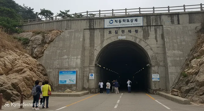 Тонёнский подводный туннель