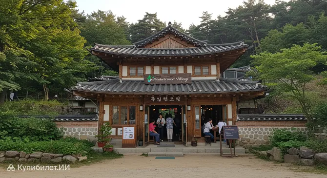 Деревня сосновых грибов