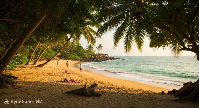 Пляж Джангл