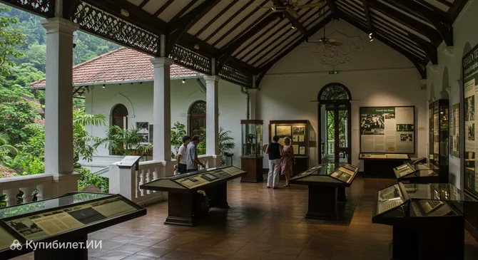 Музей цейлонского чая