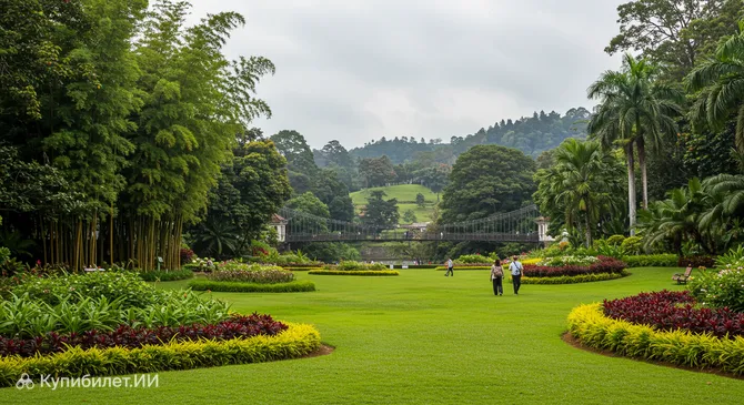 Королевский ботанический сад Перадения