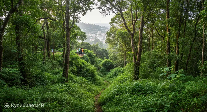 Заповедник Удаватта Келе