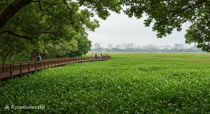 Парк Беддагана Уэтленд