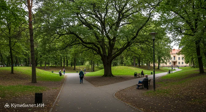 Парк Кальнечяй