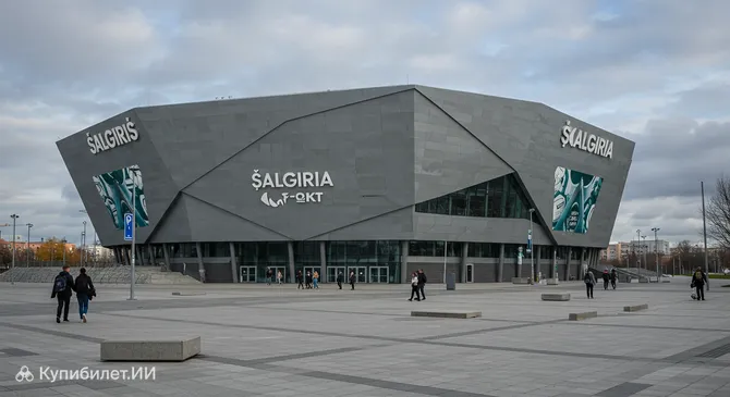 Арена Жальгирис